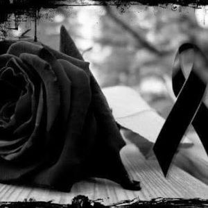 Meet your Posher, Rosalva